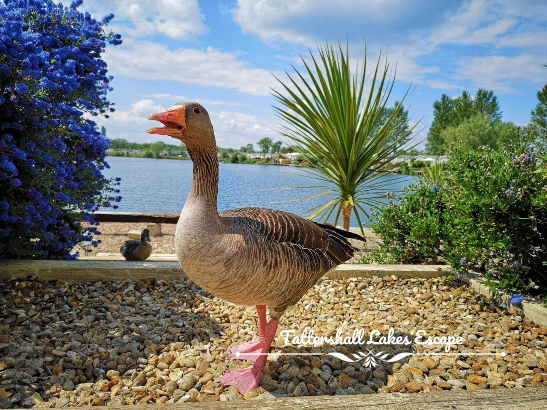 Meridian Tattershall Lakes Escape - Lakeside Lodge Caravan With A Fishing Peg Luxury Hot Tub Exteriér fotografie