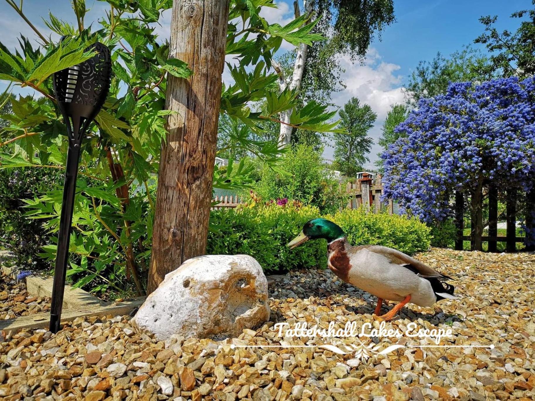 Meridian Tattershall Lakes Escape - Lakeside Lodge Caravan With A Fishing Peg Luxury Hot Tub Exteriér fotografie